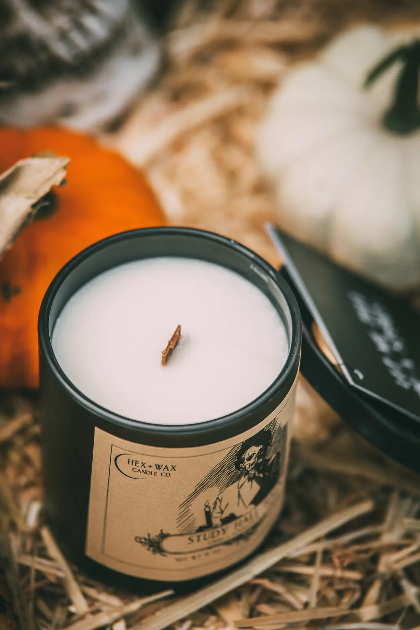 Study Hall Haunt Hex + Wax Candle Co.