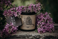 Load image into Gallery viewer, Poison Garden – The Gothic Lilac Candle Hex + Wax Candle Co.
