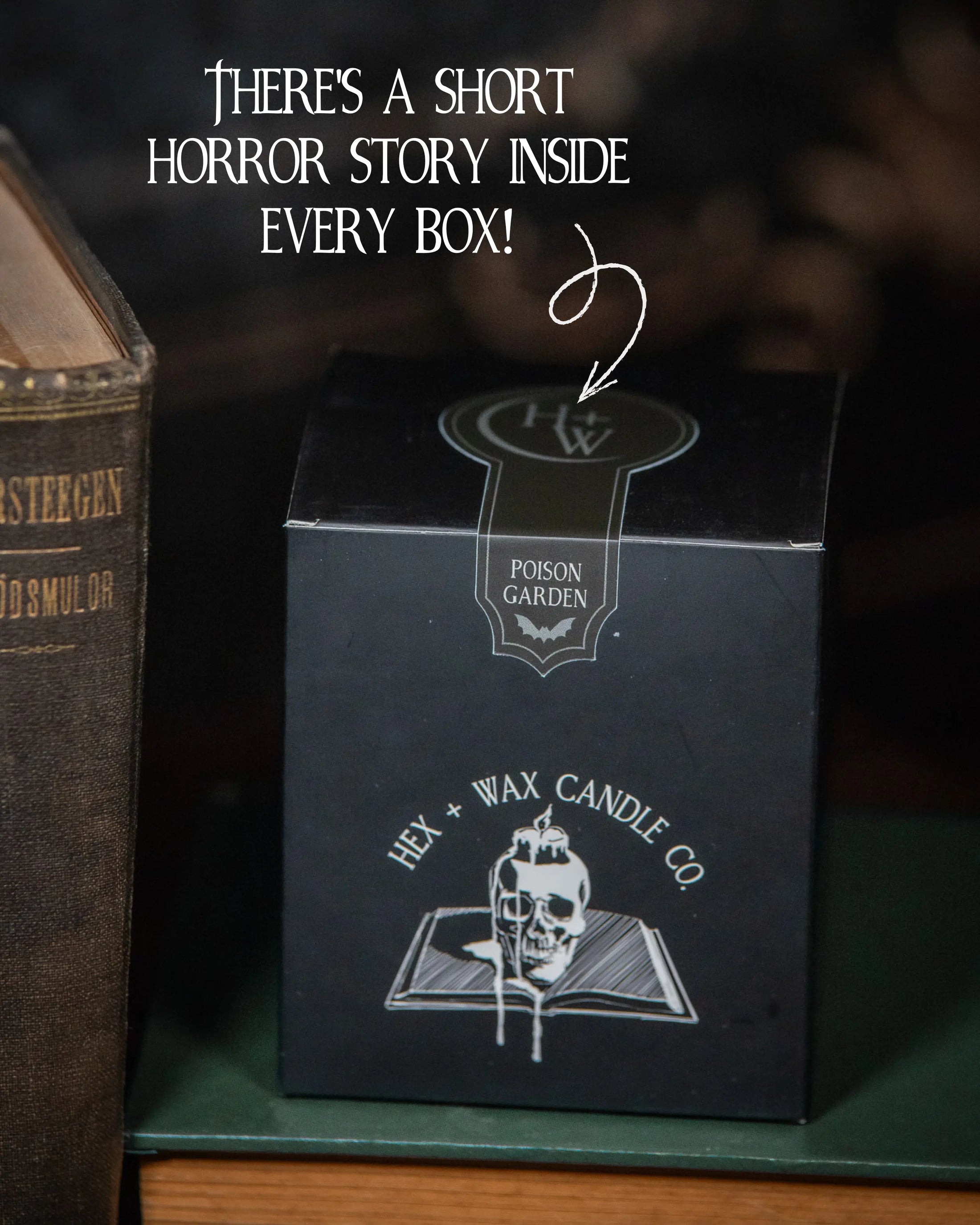 Poison Garden – The Gothic Lilac Candle Hex + Wax Candle Co.